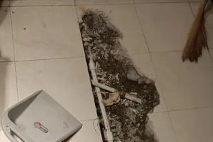 乐平卫生间漏水检测电话